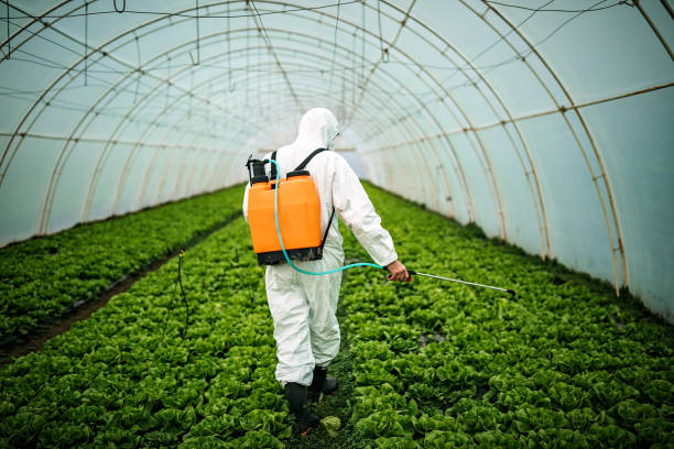 Best Affordable Pest Control Services  in , AK
