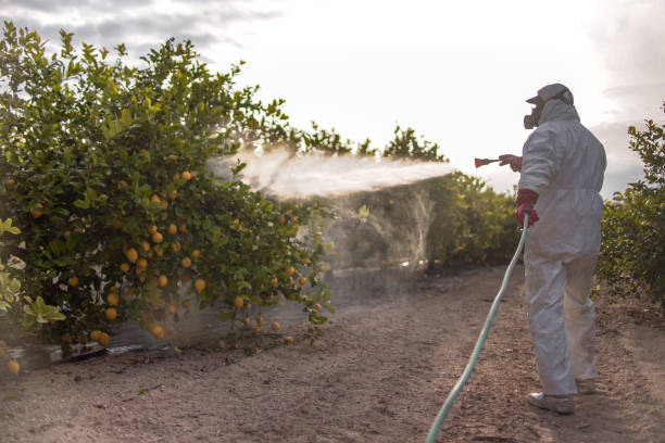 Best Pest Control for Restaurants  in , AK