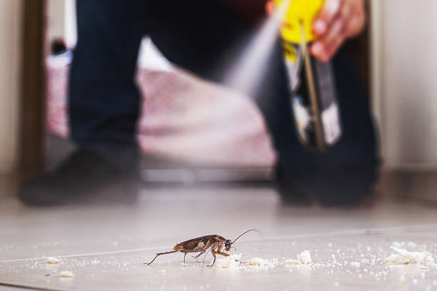 Best Emergency Pest Control  in , AK