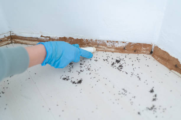 Best Pest Control for Homes  in , AK